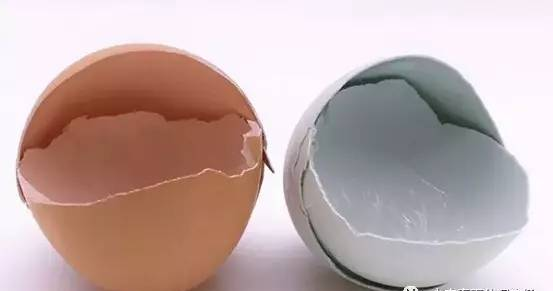 一枚真正健康的有机鸡蛋长啥样？你造吗？