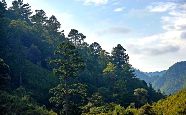 雷公山——雷公居住的地方