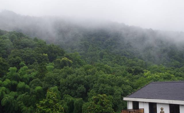 青芝坞·杭州｜在城市又远离，大概就是这个地方吧