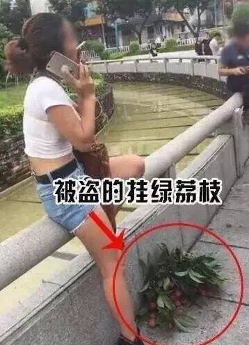 天价荔枝50多万一颗  女子摘一把开吃？原来真相是这样的