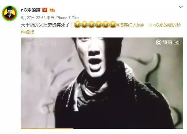 3年拥粉千万，nG家的猫堪比薛之谦！