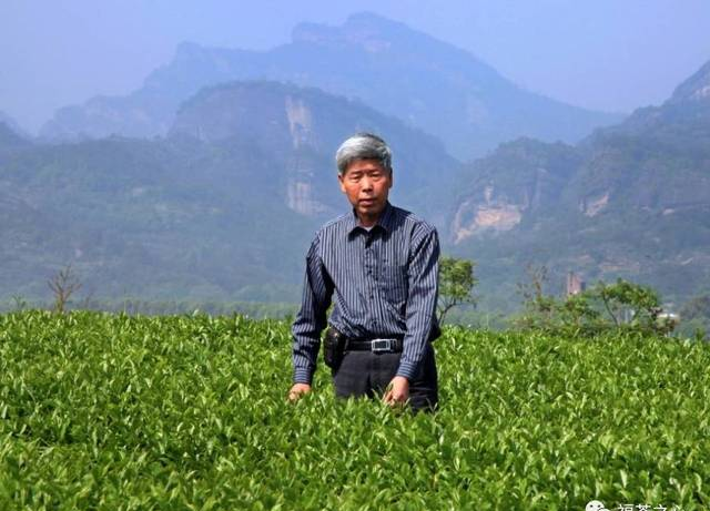 武夷岩茶茶人档案