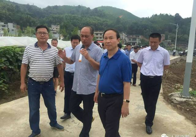 陈君文：“用心、用情、用力，打好脱贫攻坚战”