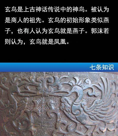 凤凰的历史：凤凰有可能真实存在，商代人曾经捉过活的凤？