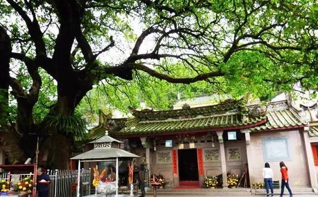 黄岐山森林公园，一座有故事的山！