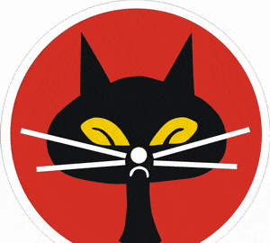 《绝密543》中国民党空军黑猫飞行员的原型人物