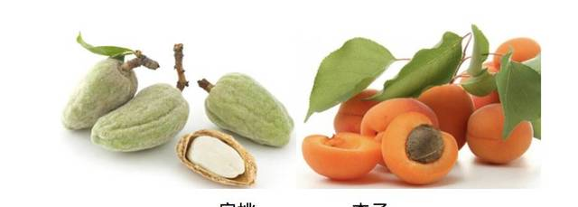 刷酸变女神？——桃花艳，李花俏，怎比我雨润红姿娇