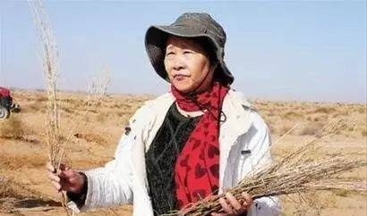 《伴侣》微故事：“荒漠母亲”易解放，我有千万个儿子在成长