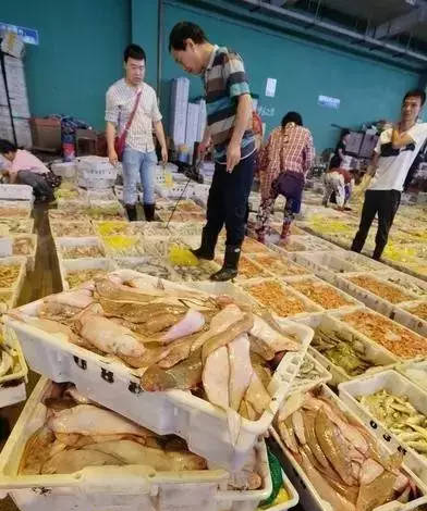爆！全面开渔第一网，10公斤的海鱼真不少！3斤重的野生大黄鱼价格居然卖……
