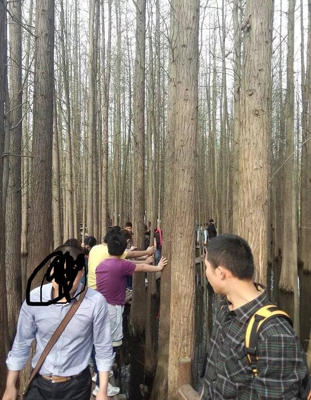 南京将军山牛首山游记