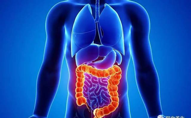 肠炎吃什么食物好 5种食物让肠道快速恢复正常