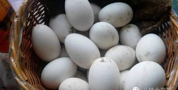 鹅蛋怎么吃降血糖 鹅蛋做法多样常吃好处多