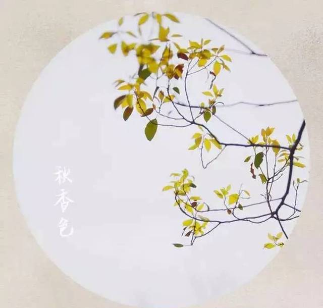 秋风徐来香满衣，秋香色是个什么色？