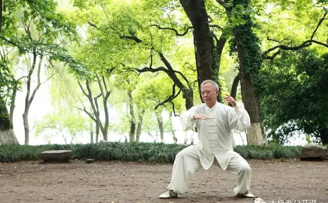 太极拳推手的发人技巧，一般人我不告诉他!