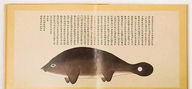 江豚海豚那么可爱，古人竟然给它画了个猪脑袋？