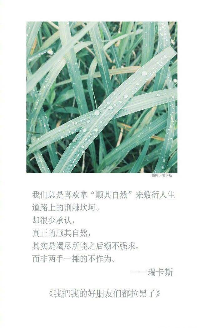 我仍感叹于世界之大 也沉醉于儿时情话 不剩真假不做挣扎无谓笑话
