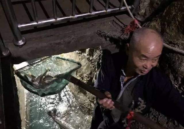 重庆巫溪农户家挖出神秘鱼泉 每天涌百斤鱼