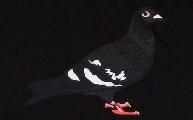 新货鞋报丨"鸽子" 真的回来了，Nike SB Dunk "黑鸽子" 曝光