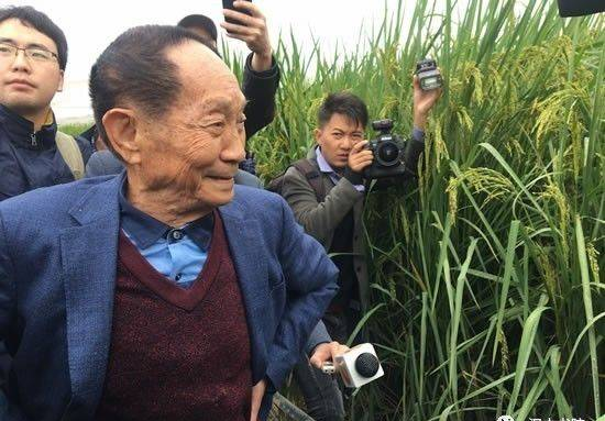 袁隆平超级水稻再创纪录，那中国历史上的水稻亩产是多少呢？