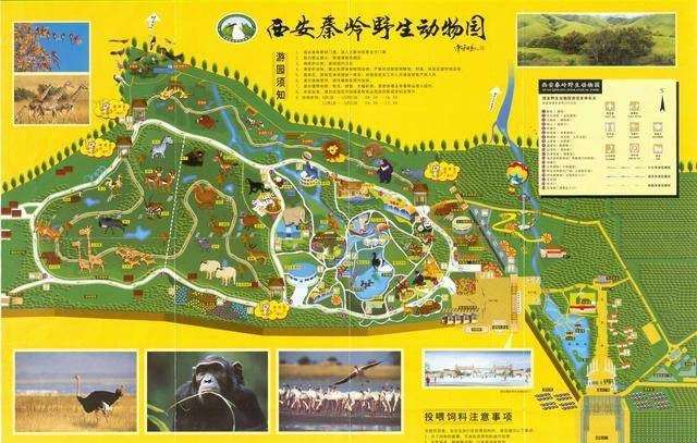 秦岭野生动物园到底值不值的去，点开后就知道了!
