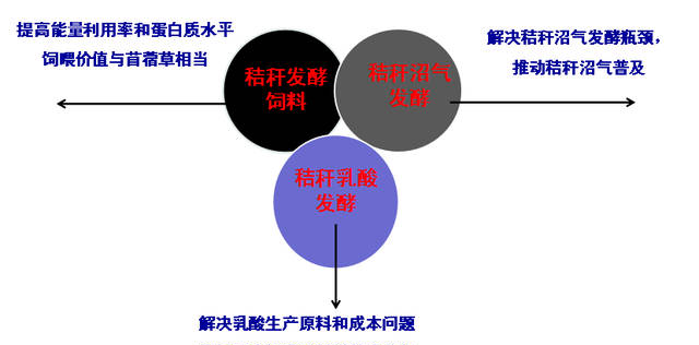 【专家开讲啦】梁运祥：生物饲料的发展趋势