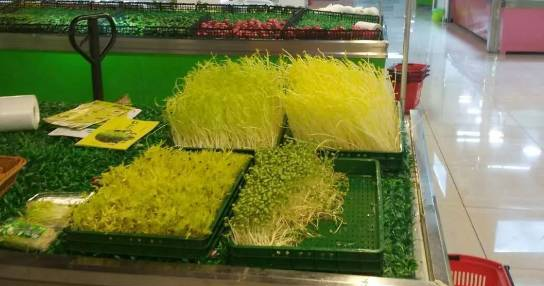 看稀奇！网友爆料什邡惊现绿色豆芽，究竟能不能吃呢？