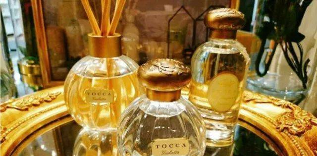 TOCCA有双重魔力，也苦涩也甜蜜~