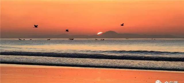 潮州饶平西澳岛——白鹭天堂