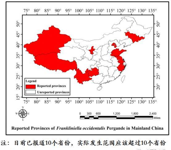 南昌论小虫第十一讲：中国农业科学院植保所 高玉林研究员 西花蓟马在我国的发生、危害及绿色防控