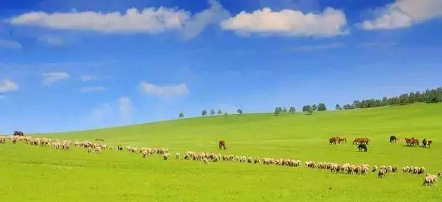 中国十大草原旅游景点排行