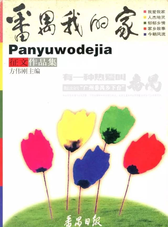 洛溪新城曾轰动一时，它是怎样建起来的？