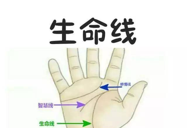 手相：生命线4种分叉代表了什么，拿出你的手看一看
