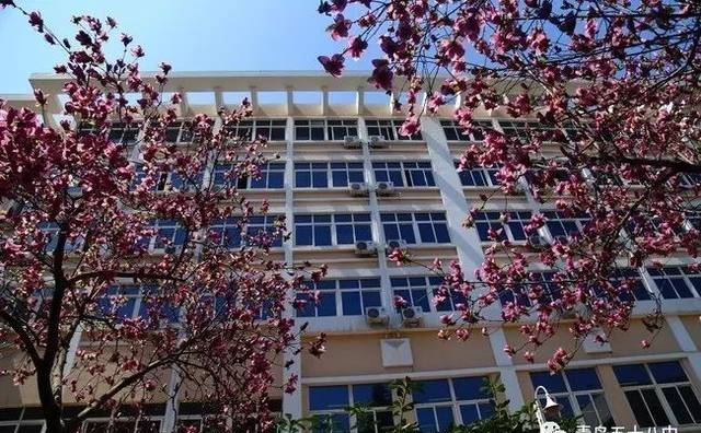 有一种青春，叫青岛58中