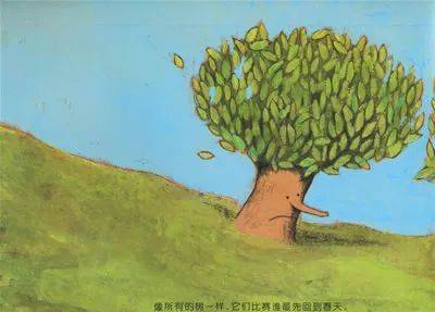 【有声绘本】《两棵树》
