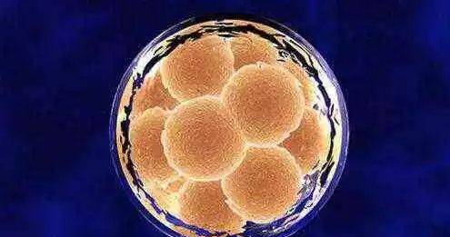 干货：干细胞与再生医学领域年度盘点—诱导多能干细胞（iPSC）