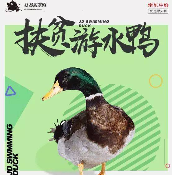提问：“春江水暖鸭先知”里面的“鸭”是什么鸭？