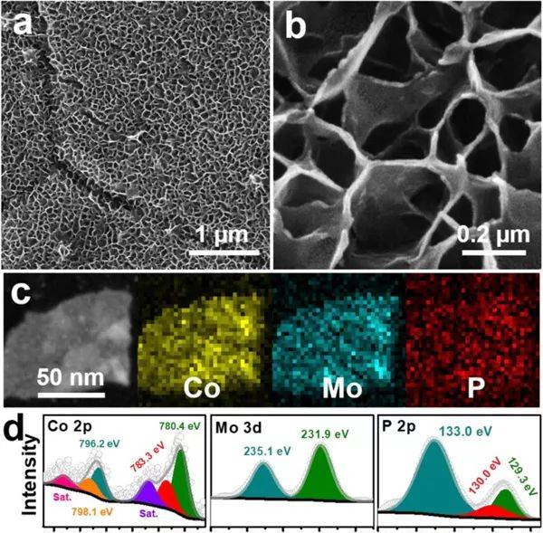 苏州大学黄小青Nano Energy：钴钼纳米片阵列作为高效且稳定的电极催化剂，用于整体水分解