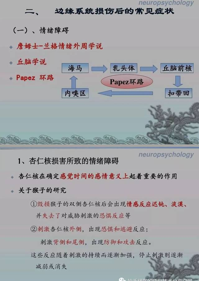 大脑边缘系统是个有趣的话题，如何用它来促进运动是我们物理治疗师需要摸索的技术！