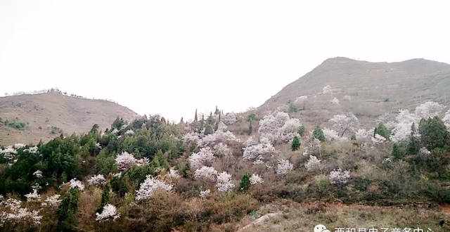这几天，被十天高速陇南西和石峡段惊艳到了，不看后悔…