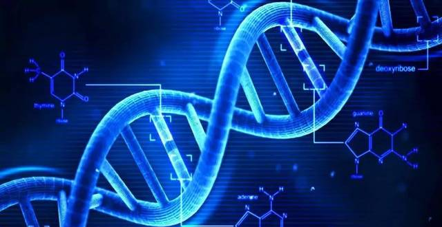 人类首次拍摄DNA复制过程！这个发现改写了中学课本