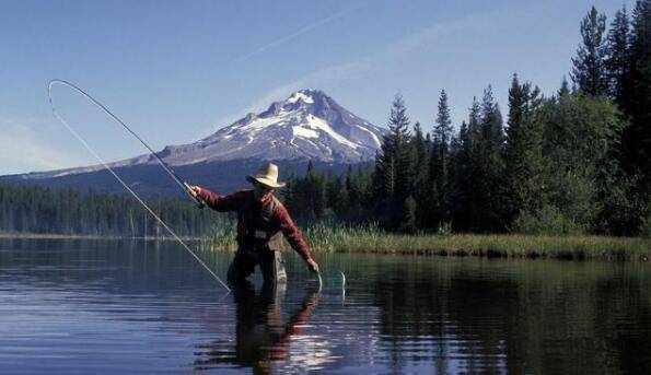 春天钓鱼的方法与技巧