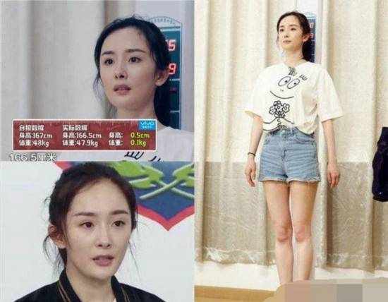 168cm女星各自体重一览 范冰冰和刘涛居然等重