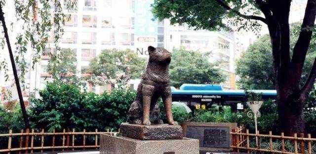 无知！你只知道涩谷八公犬这么一个狗雕塑吗？