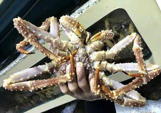 世界顶级螃蟹大赏