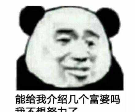 表情包：求求你们了，给我介绍几个富婆吧