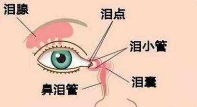 为什么会迎风流泪？