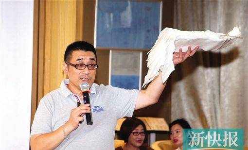 小朋友学画通草画　直呼“好看又好玩”