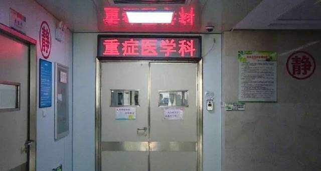 一男子住酒店被银环蛇咬伤，差点一命呜呼！