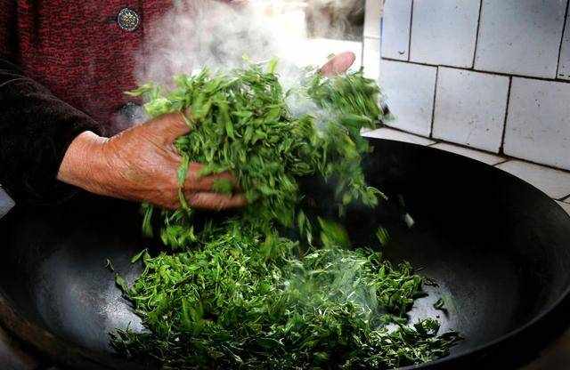 绞股蓝和绞股蓝茶，一字之别，功效却相差甚远，很多人都买错了！