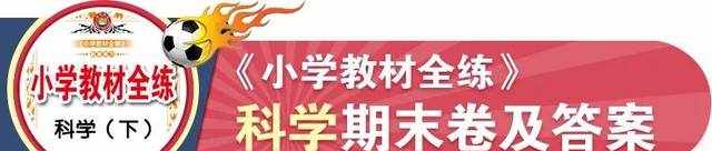 《小学教材全练》期末卷及答案，全学科，全版本！文末有福利哦！